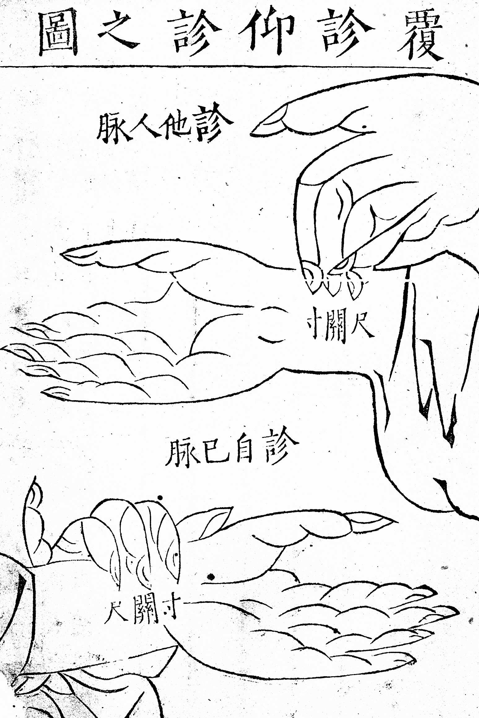 脈診の図